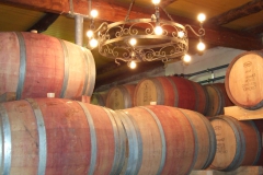 Wine Barrels in a cellar
