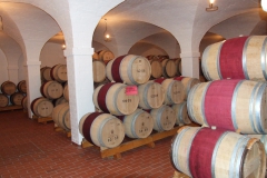 Cellar tour to visit the oak wine barrels