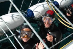 Couple in the Cage doing the Shark Cage Diving
