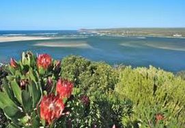 cape-town-garden-route-tour-15