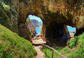 Cape-Town-Garden-Route-4 Day Private Tour