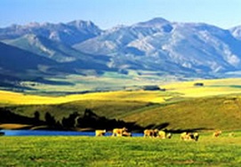 Cape-Town and -Garden-route 5 Day Private Tour experience