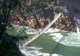 Cape-Town-Garden-Route-5 Day Tour and walk along Suspension bridge