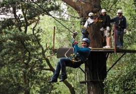 cape-town-garden-route-tour7-sm08