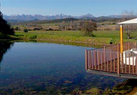 cape-town-garden-route12-surval-olives-2