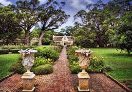 Stellenbosch - Vergelegen wine estate