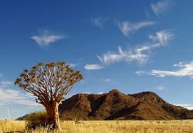 Cape Town to Namibia