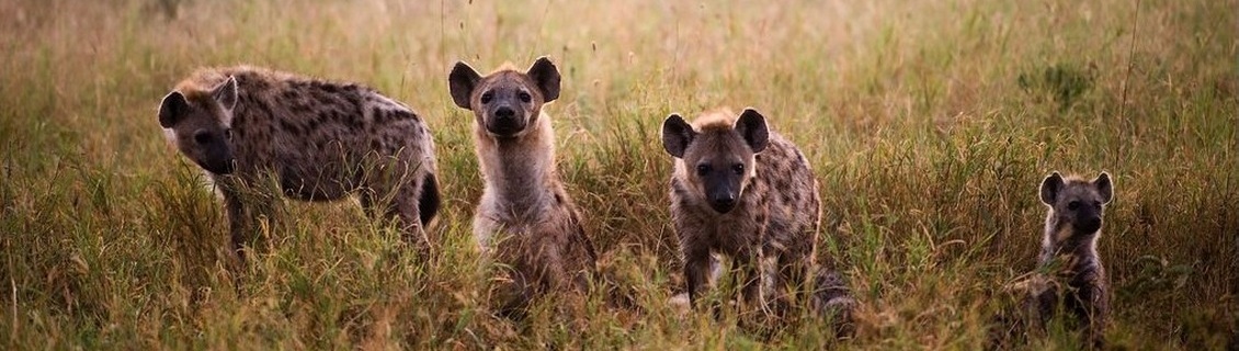 cape-town-south-africa-namibia8