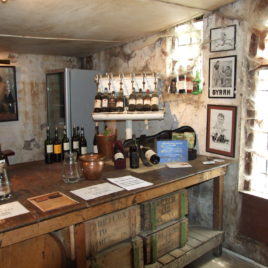 3 DAY WINELANDS & SAFARI