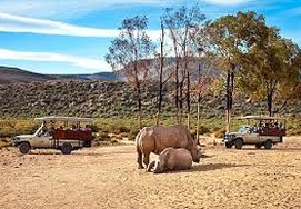 Safari at Private Aquila Game Reserve